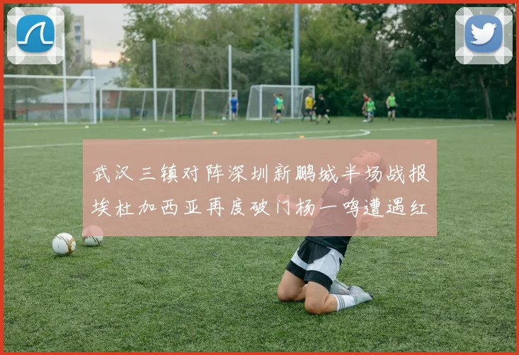武汉三镇对阵深圳新鹏城半场战报埃杜加西亚再度破门杨一鸣遭遇红牌处罚