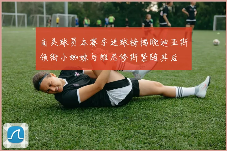 南美球员本赛季进球榜揭晓迪亚斯领衔小蜘蛛与维尼修斯紧随其后