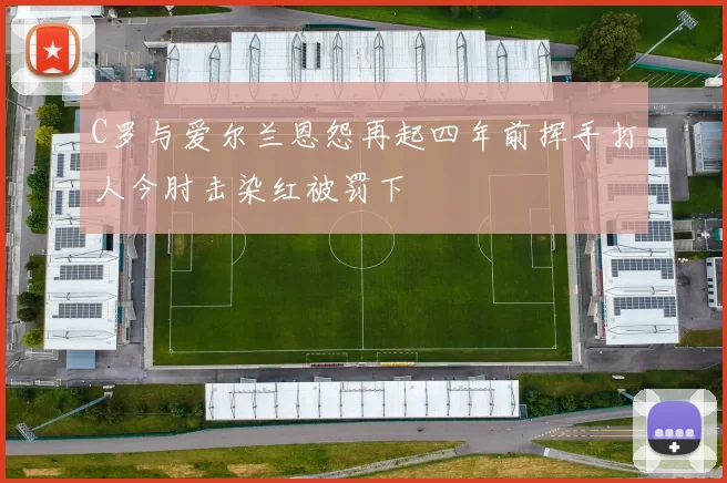C罗与爱尔兰恩怨再起四年前挥手打人今肘击染红被罚下