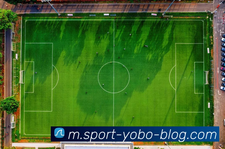 yobo体育发展历程